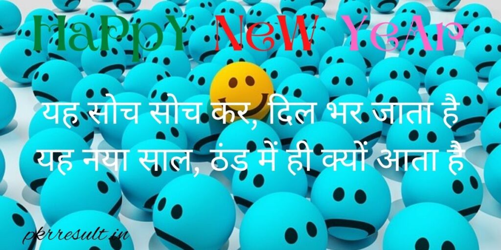 New Year Shayari in Hindi Funny