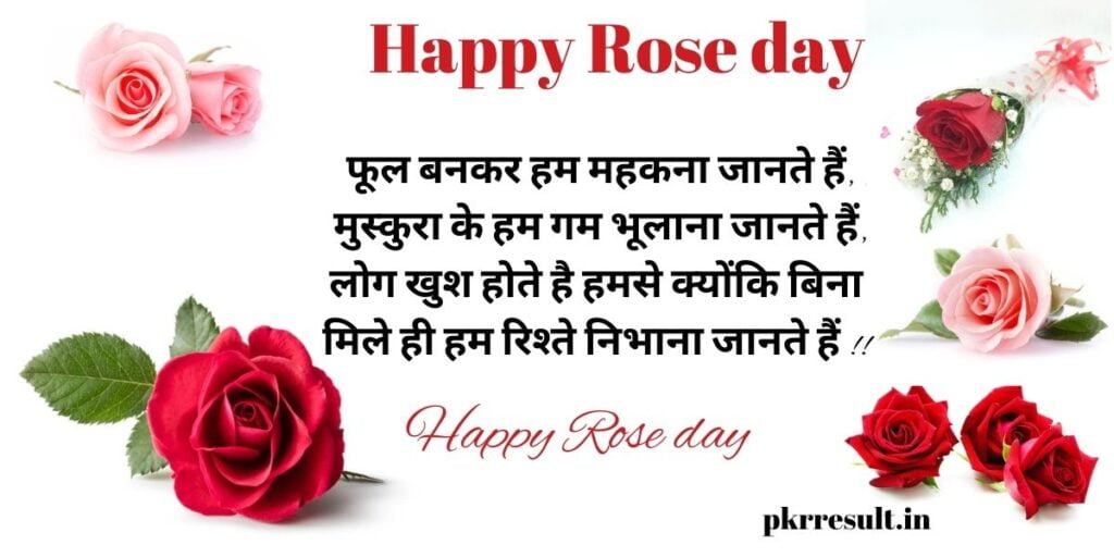 happy rose day shayari
