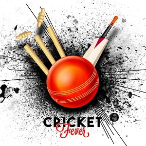 Interesting Facts About Cricket
