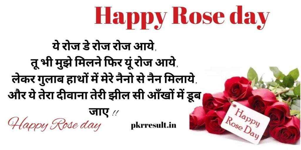 rose day 