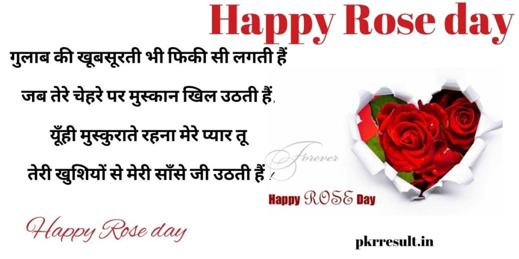 valentine week happy rose day