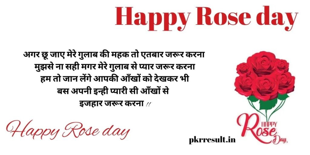 world rose day