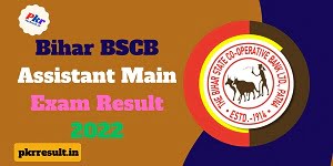 Bihar BSCB Assistant Main Exam Result