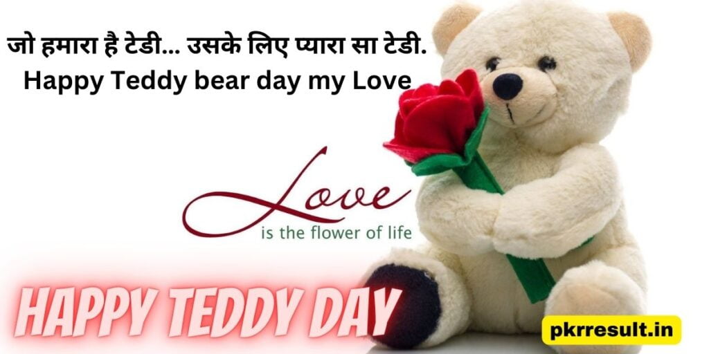 teddy bear day shayari